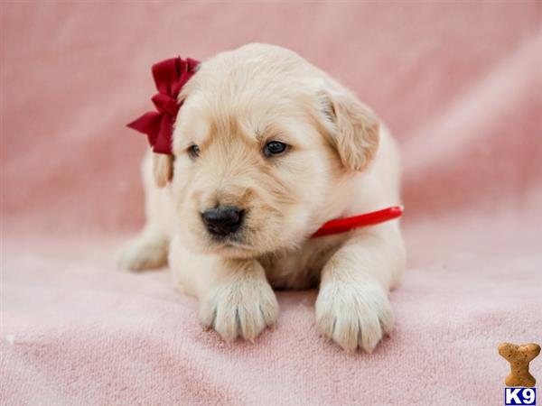 breeders Picture 1